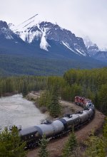 CP 7029/8557 leading a W/B unit tank car train through Morant's Curve, alongside the Bow River in Banff National Park.